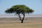 Natuur Afrika-061
