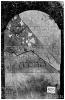 Graf Adam Drilsma (1206).jpg